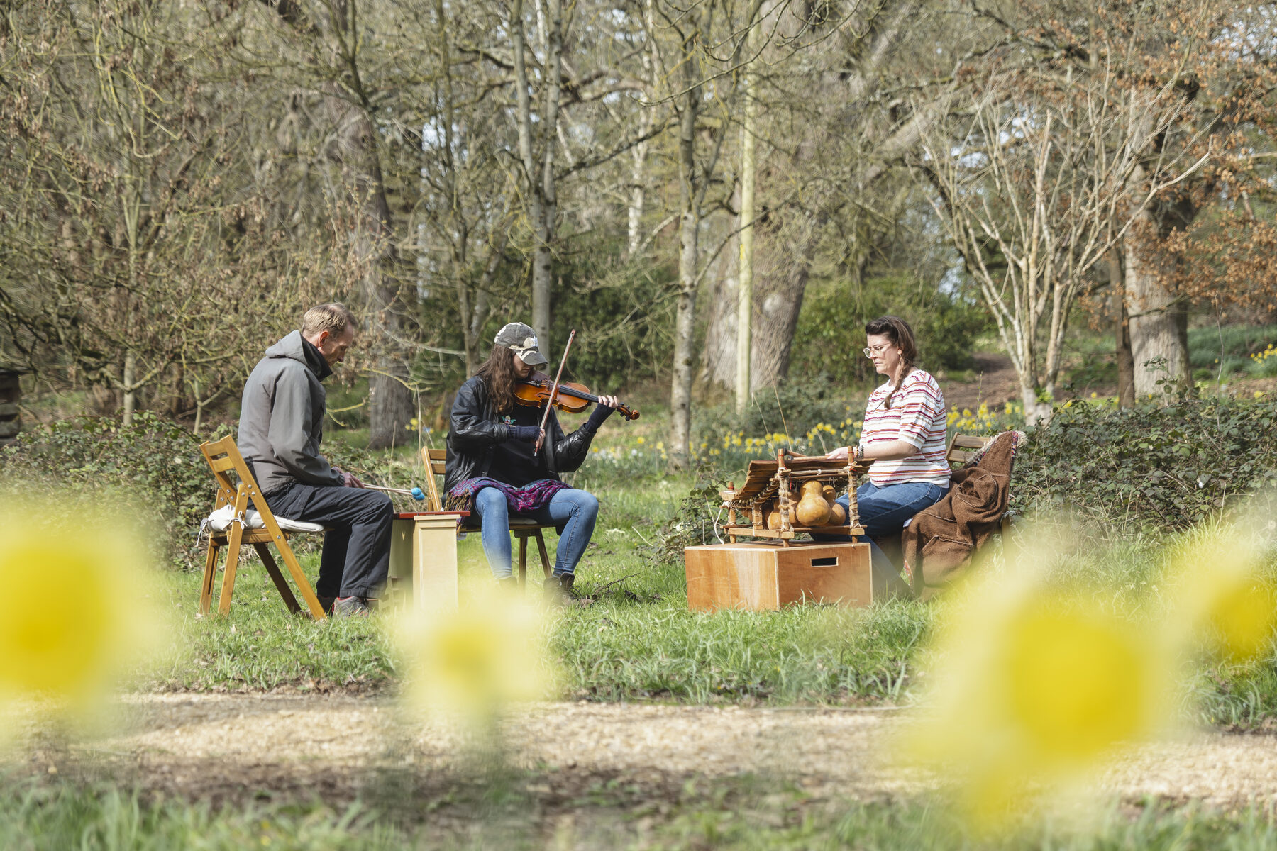 Three participants playing music in a meadow among daffodils